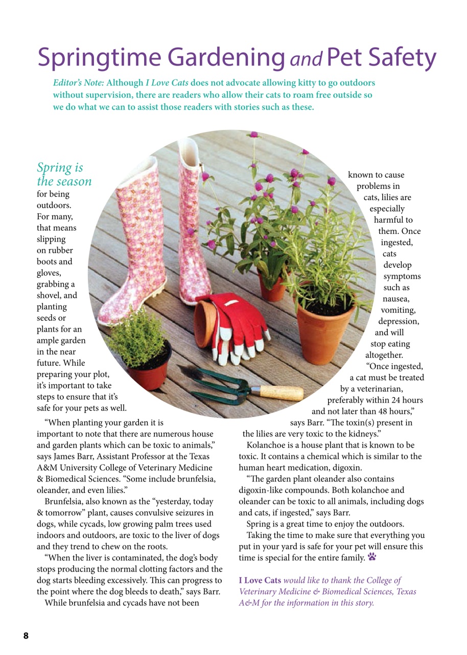 I Love Cats Preview Pages