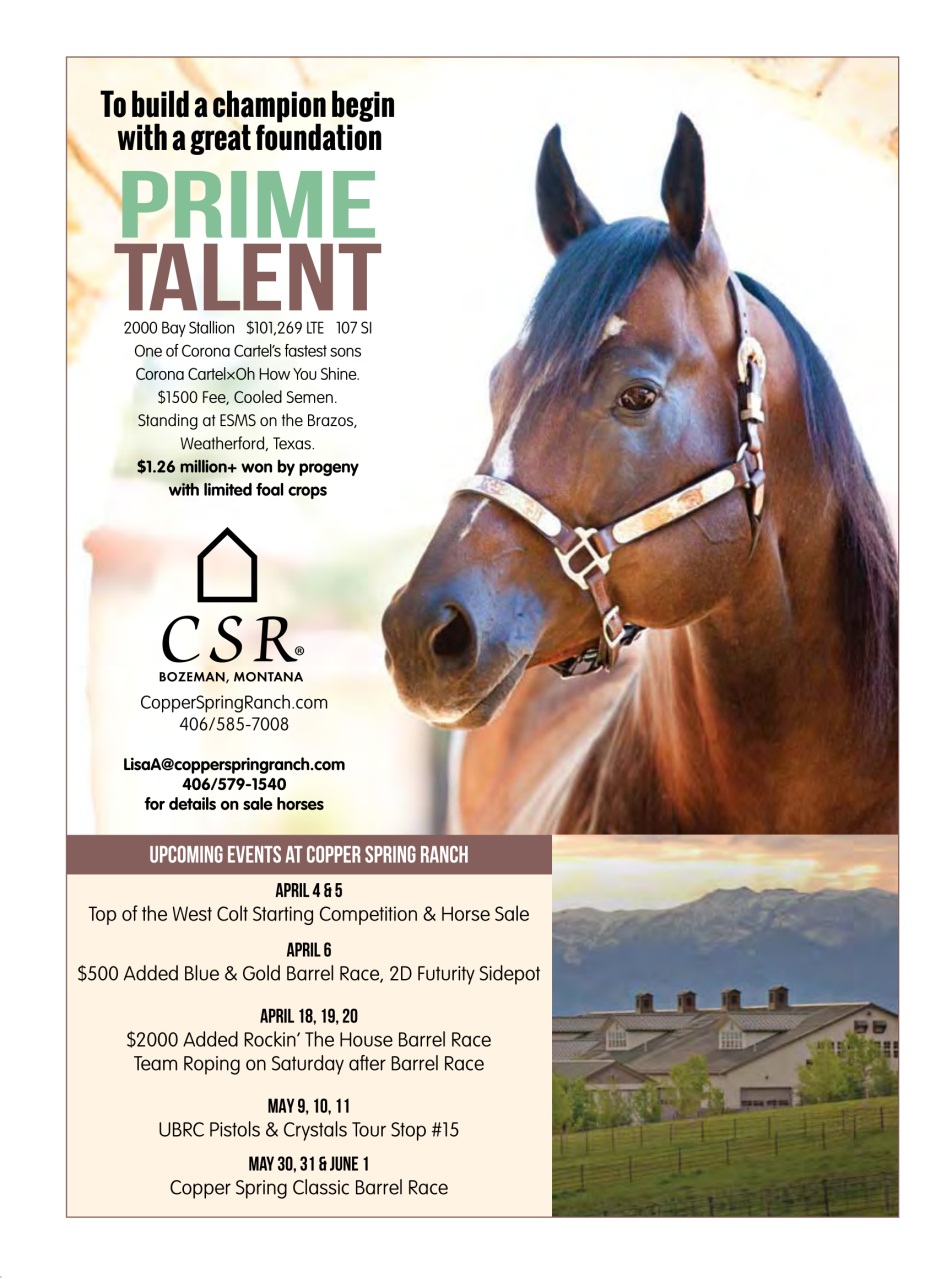 Western Horse Review Preview Pages