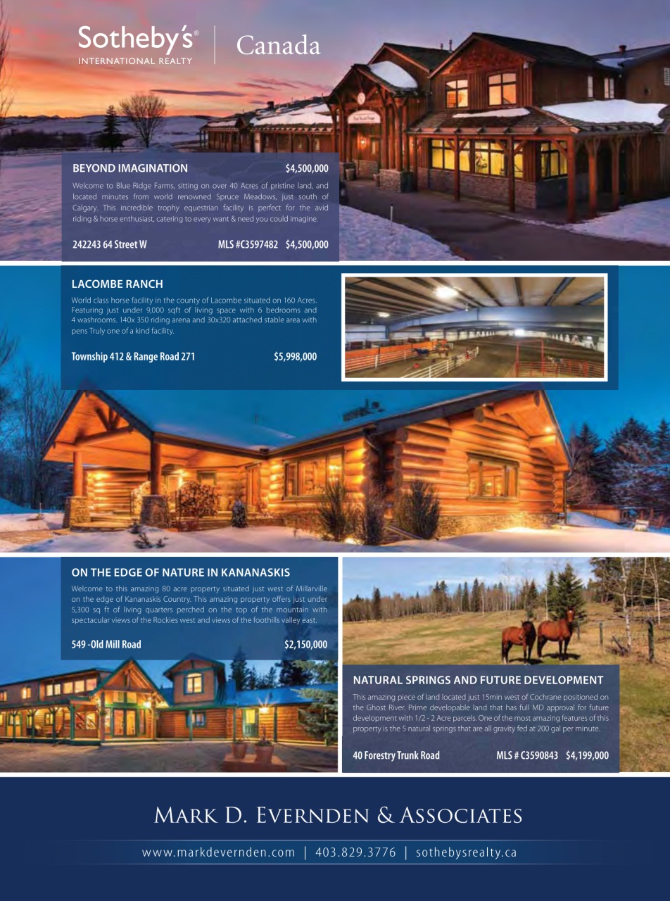 Western Horse Review Preview Pages