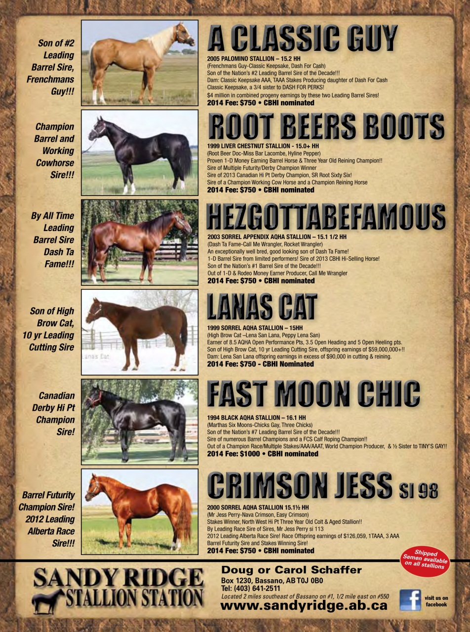 Western Horse Review Preview Pages