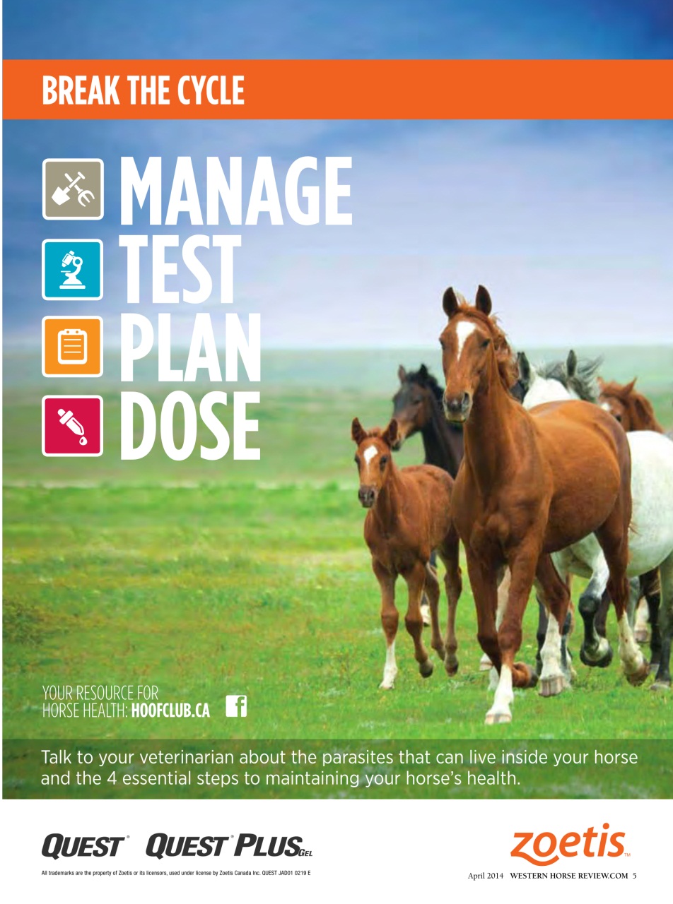 Western Horse Review Preview Pages