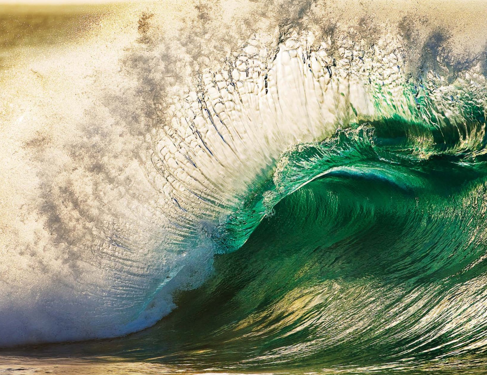 Surfing Books Preview Pages