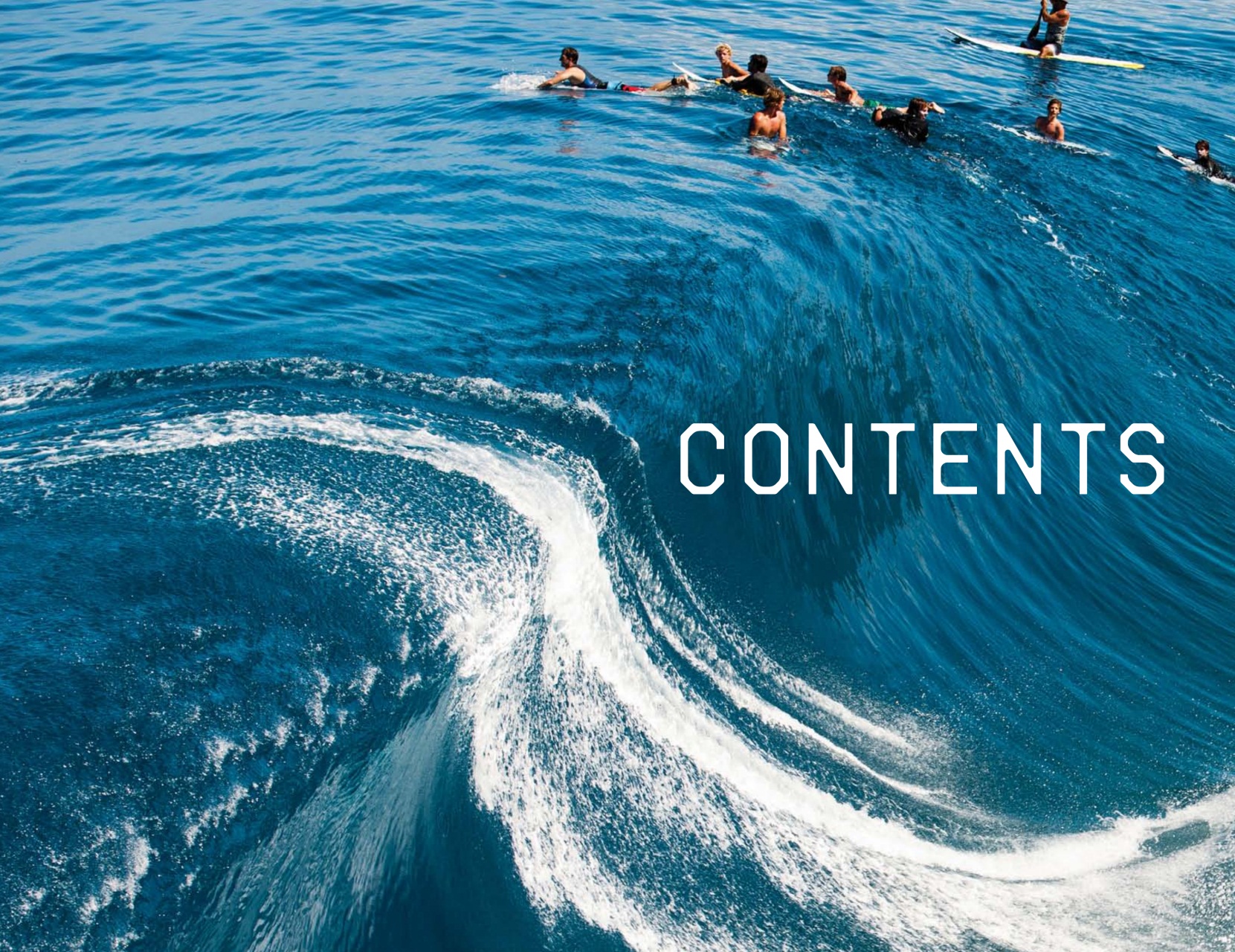 Surfing Books Preview Pages