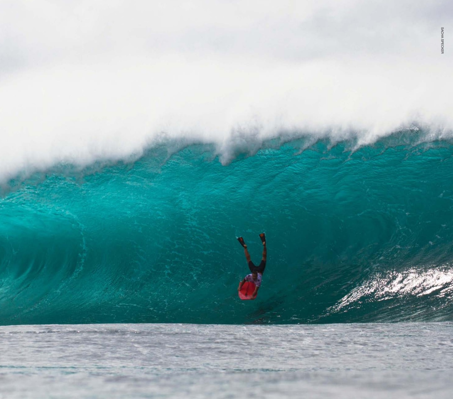 Surfing Books Preview Pages