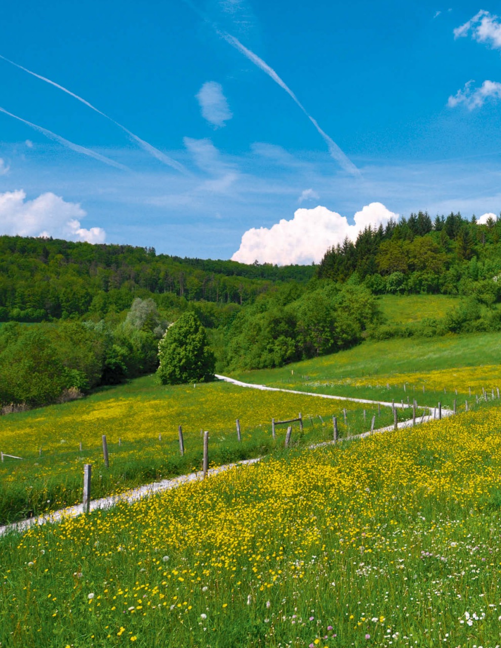 LandLove Magazine Preview Pages