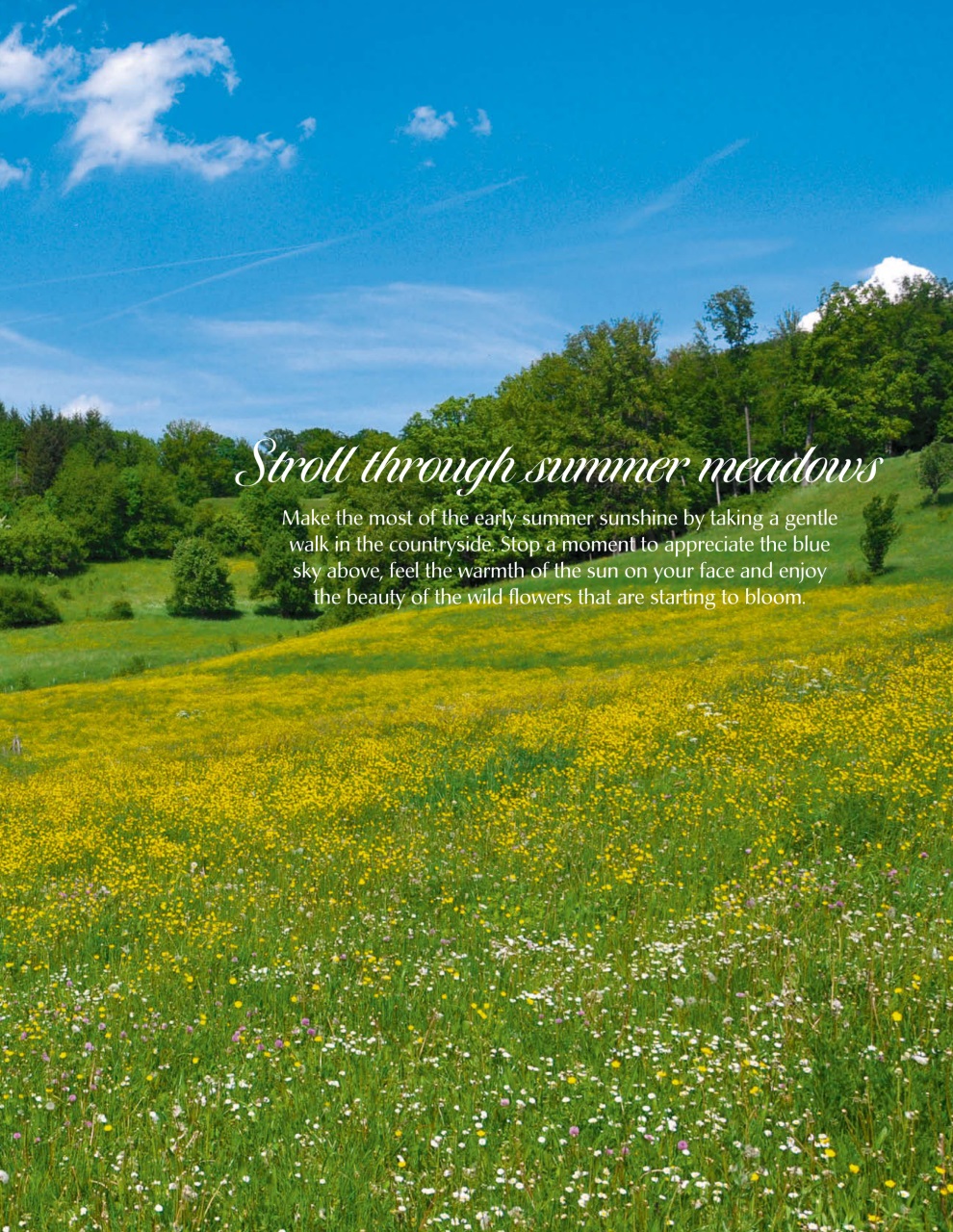 LandLove Magazine Preview Pages