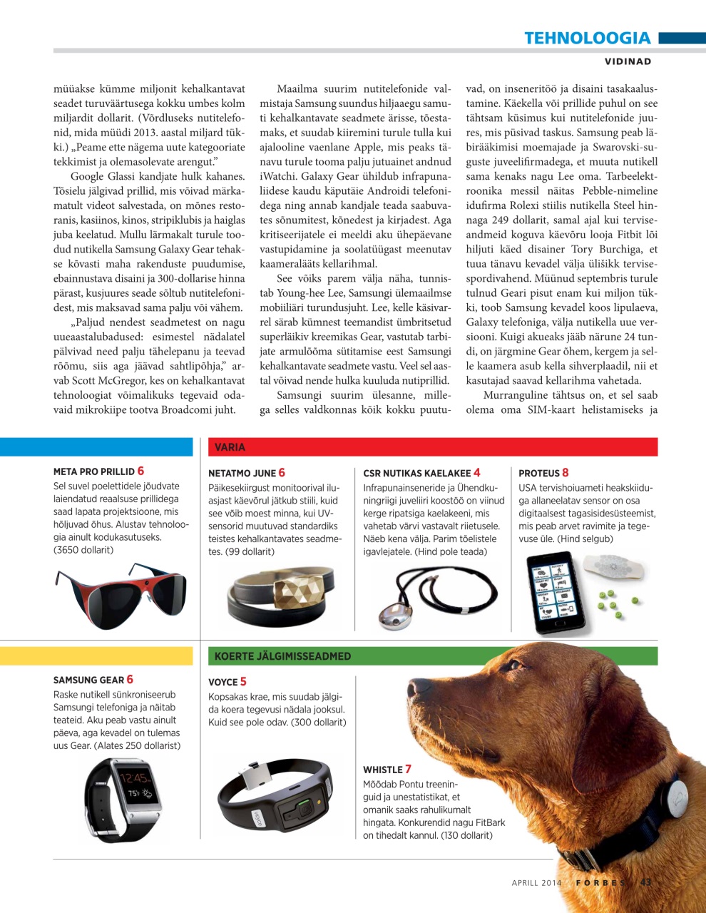 Forbes Estonia Preview Pages