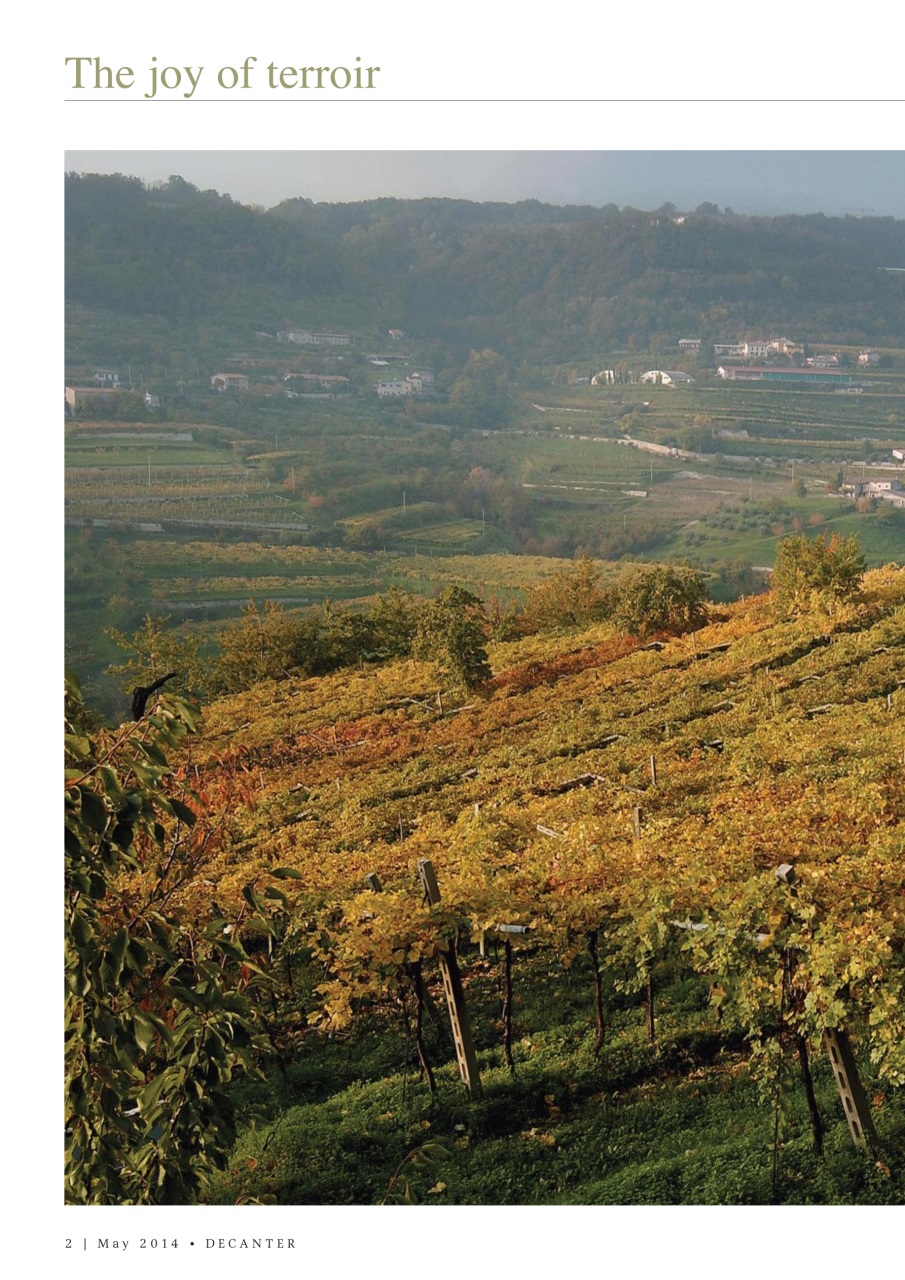 Decanter Preview Pages