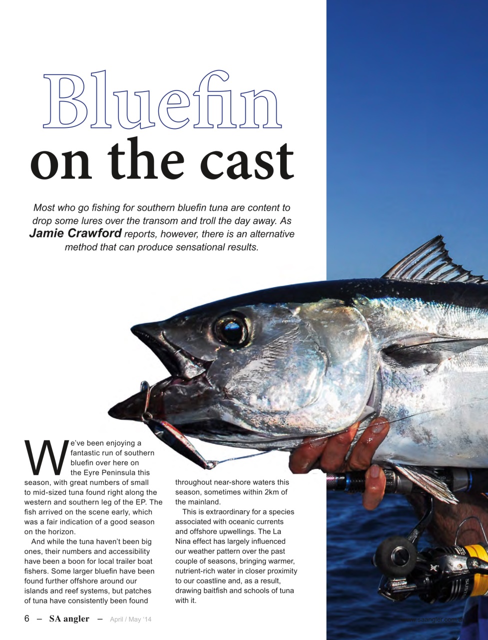 South Australian Angler Preview Pages
