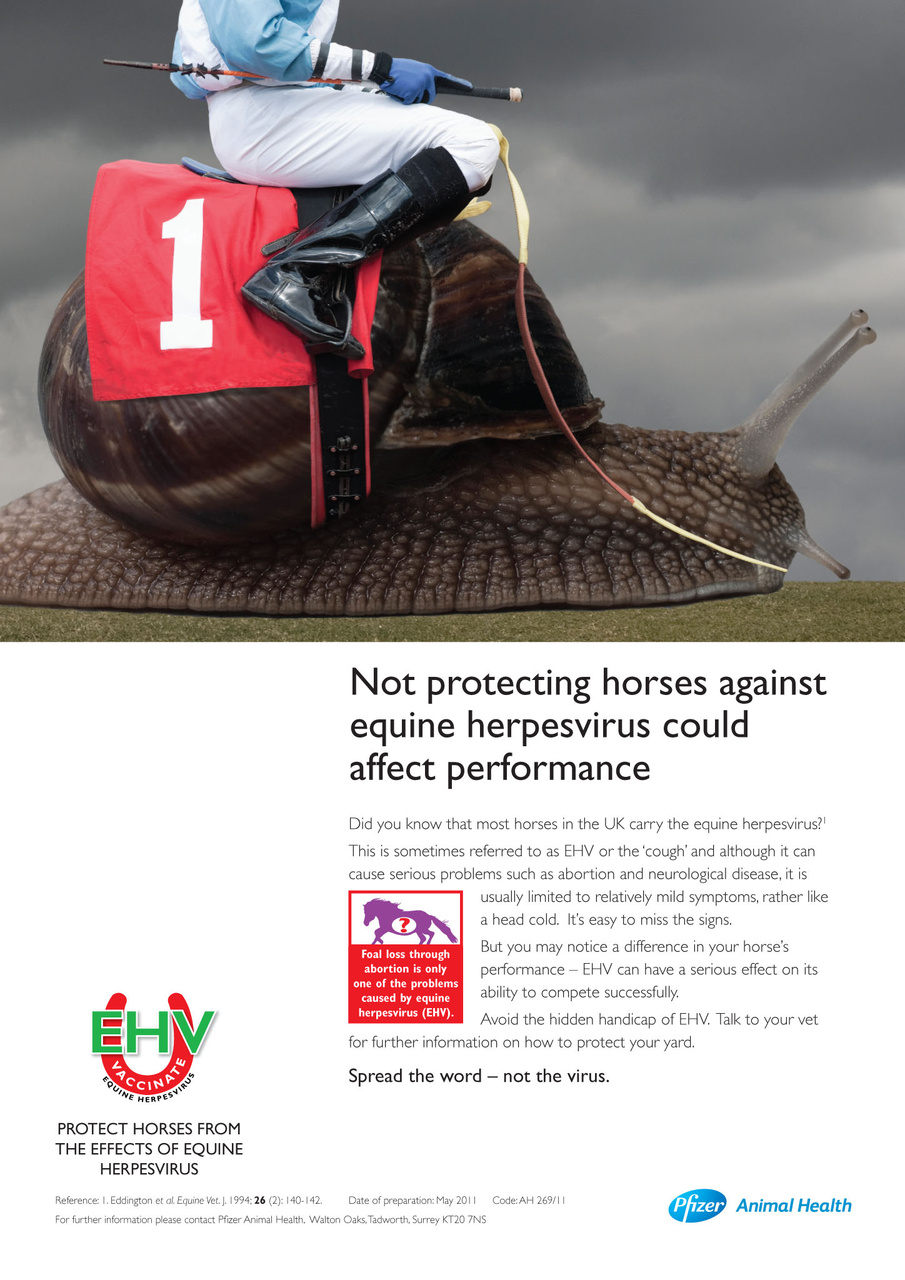 The Owner Breeder Preview Pages