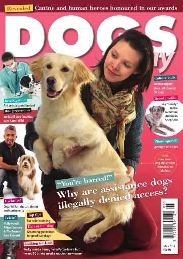 Dogs Today Magazine issue 