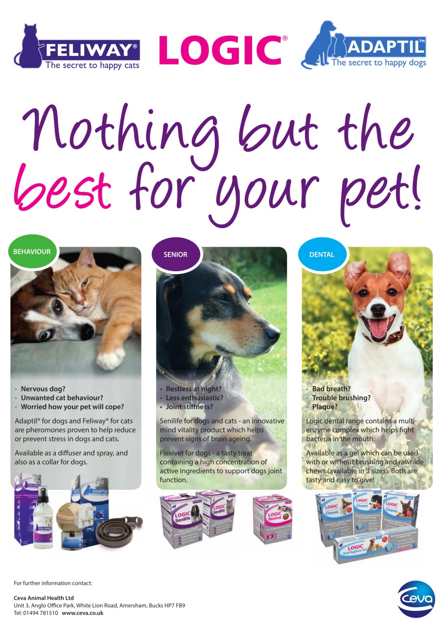 Dogs Today Magazine Preview Pages