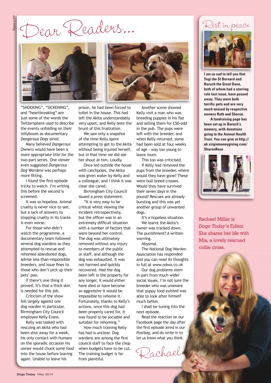 Dogs Today Magazine Preview Pages