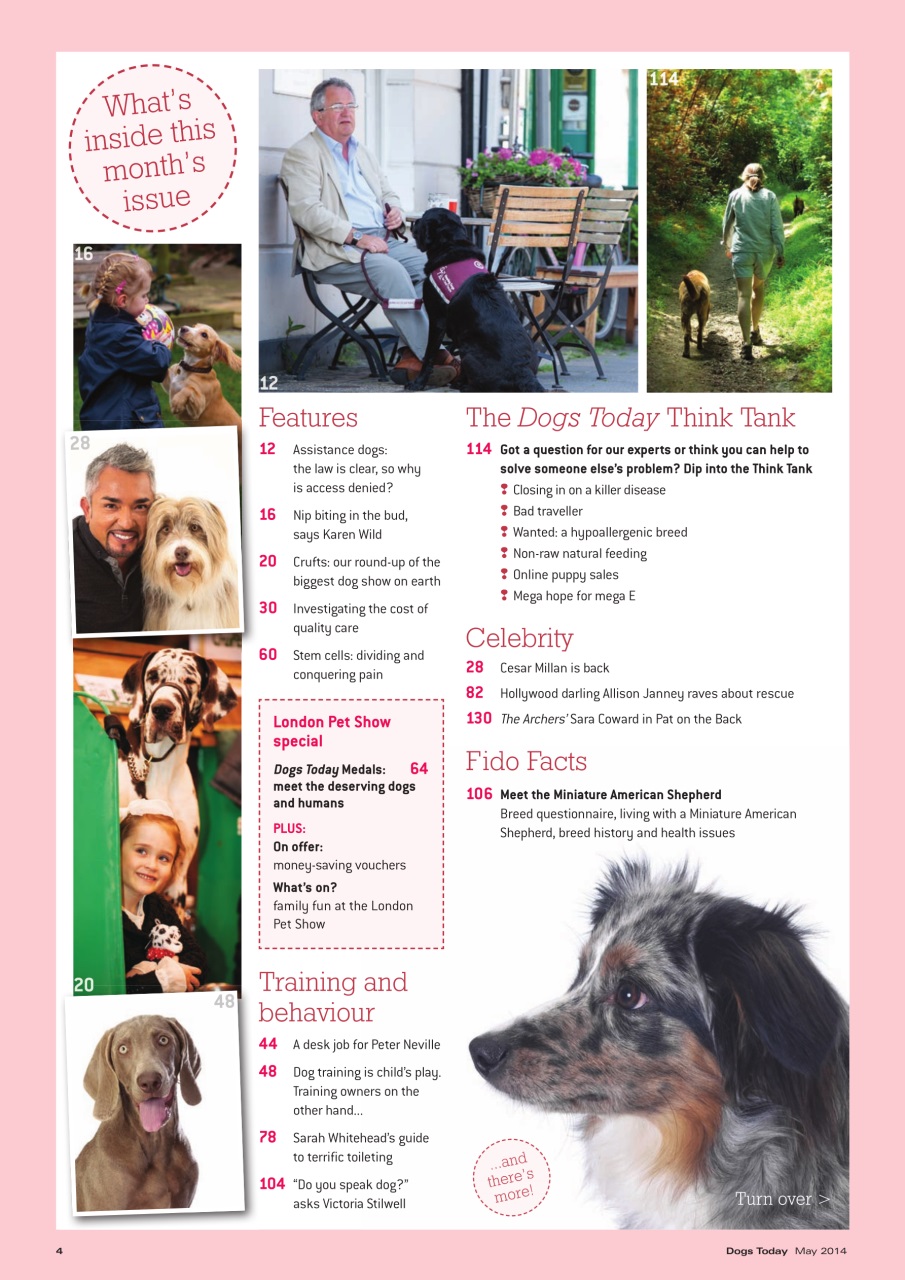 Dogs Today Magazine Preview Pages