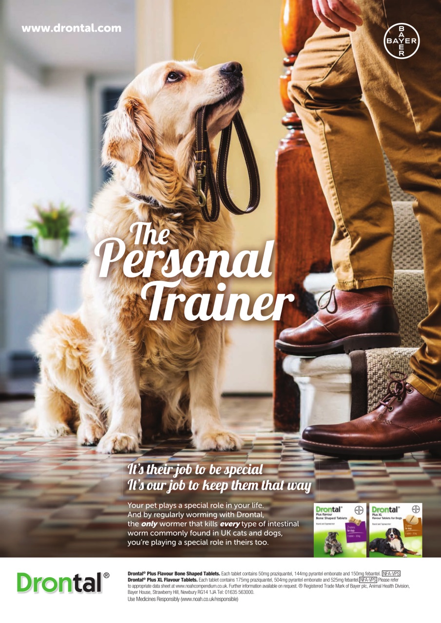 Dogs Today Magazine Preview Pages