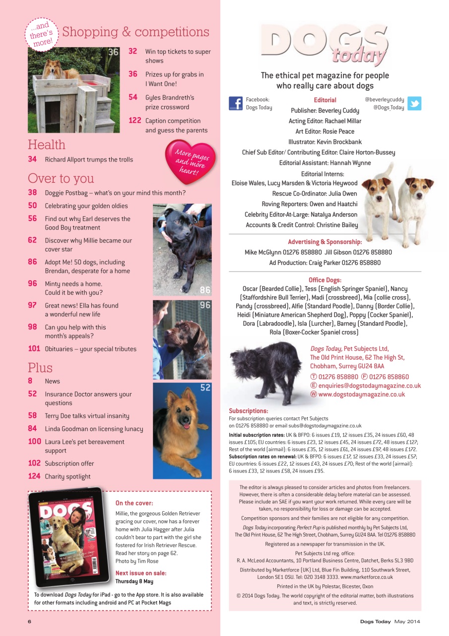 Dogs Today Magazine Preview Pages