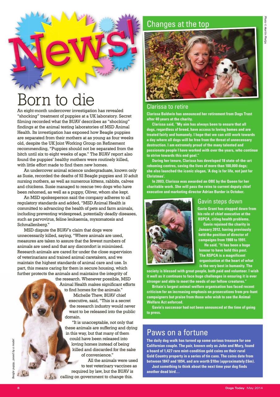 Dogs Today Magazine Preview Pages