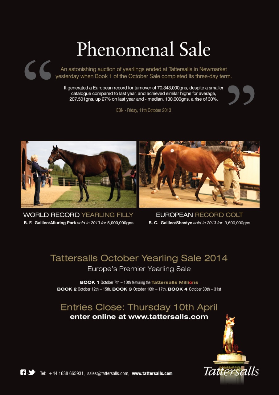 The Owner Breeder Preview Pages