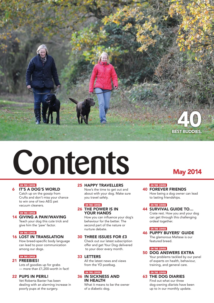 Your Dog Preview Pages
