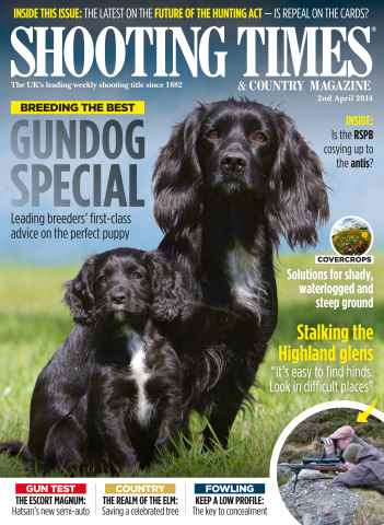 Shooting Times & Country issue 2nd April 2014