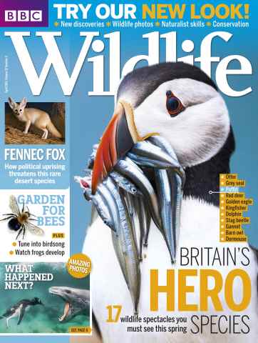 BBC Wildlife Magazine issue April 2014