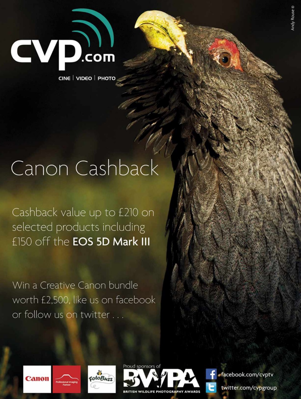 BBC Wildlife Magazine Preview Pages