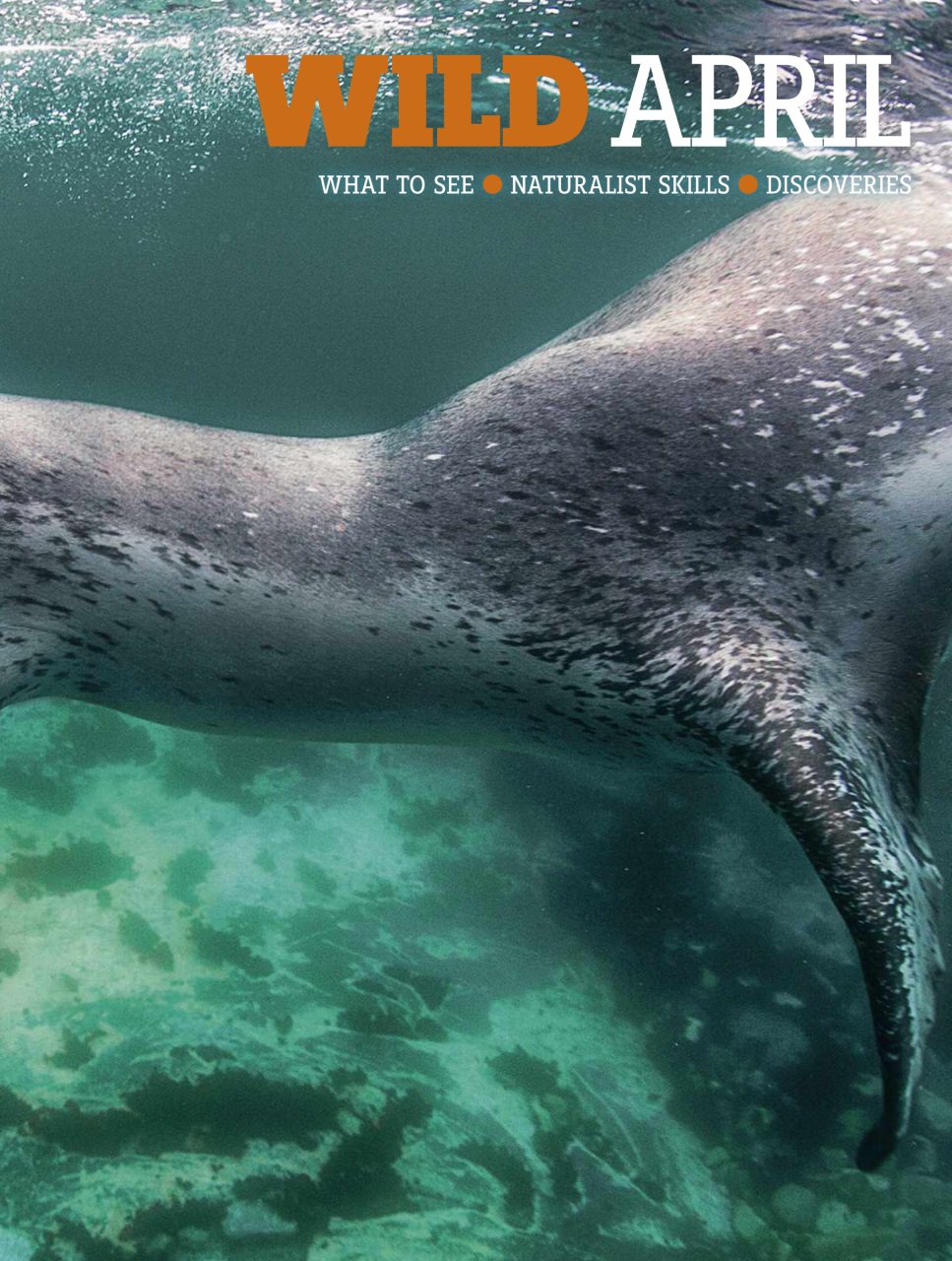 BBC Wildlife Magazine Preview Pages