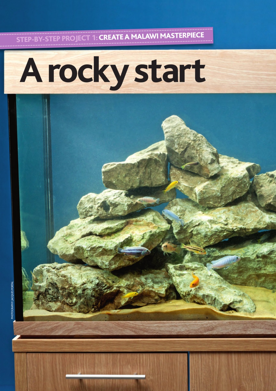 Practical Fishkeeping Preview Pages