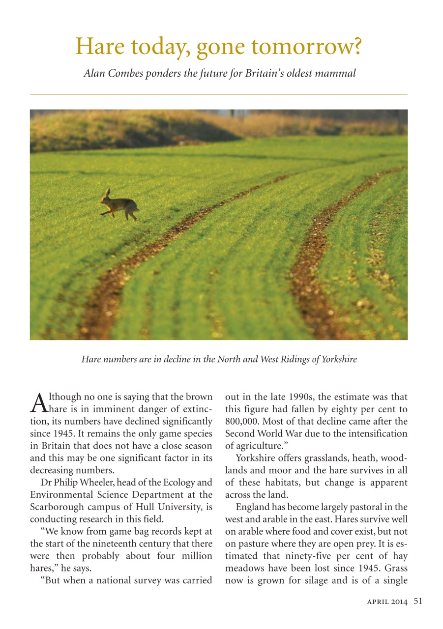 The Yorkshire Dalesman Preview Pages