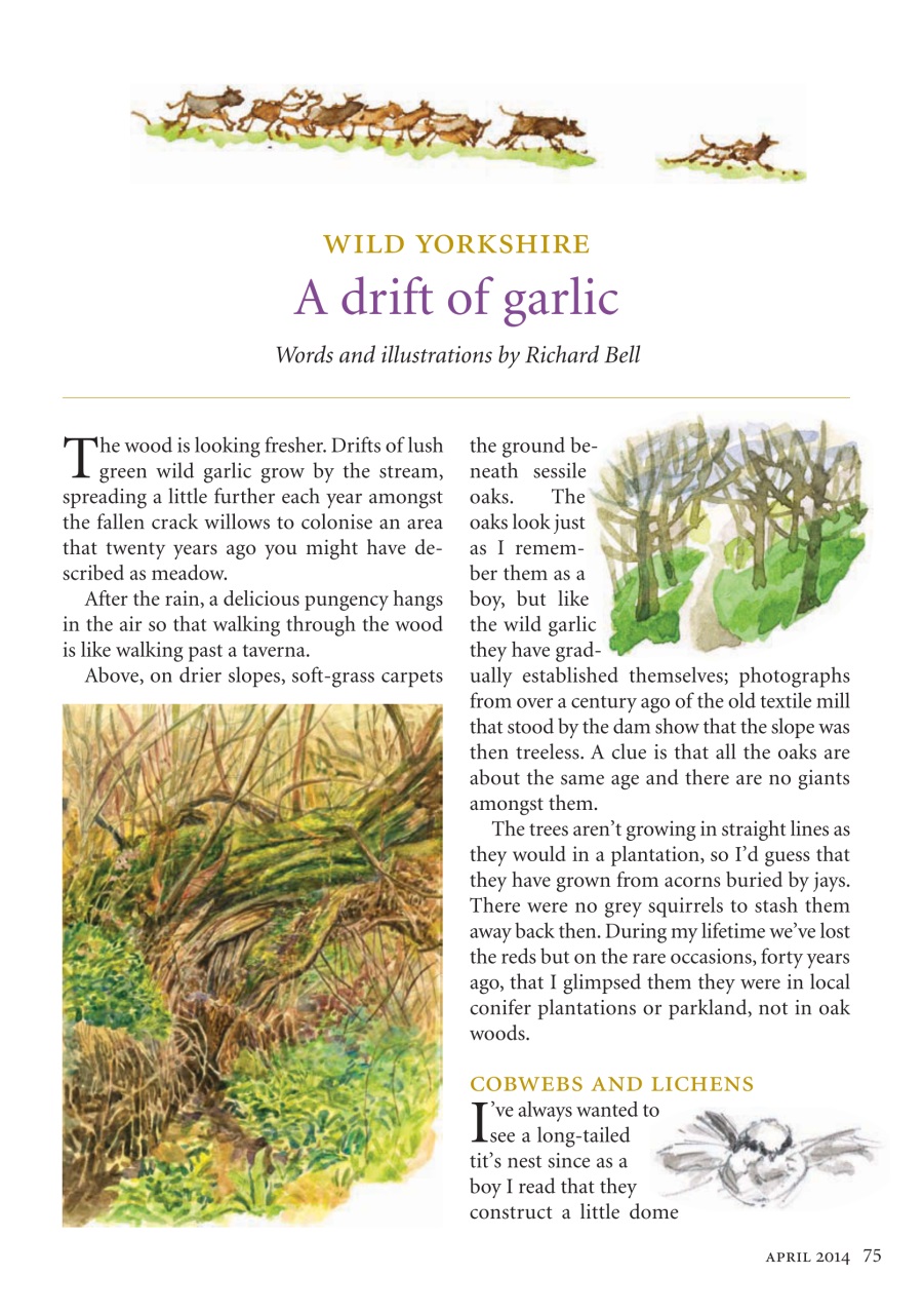 The Yorkshire Dalesman Preview Pages