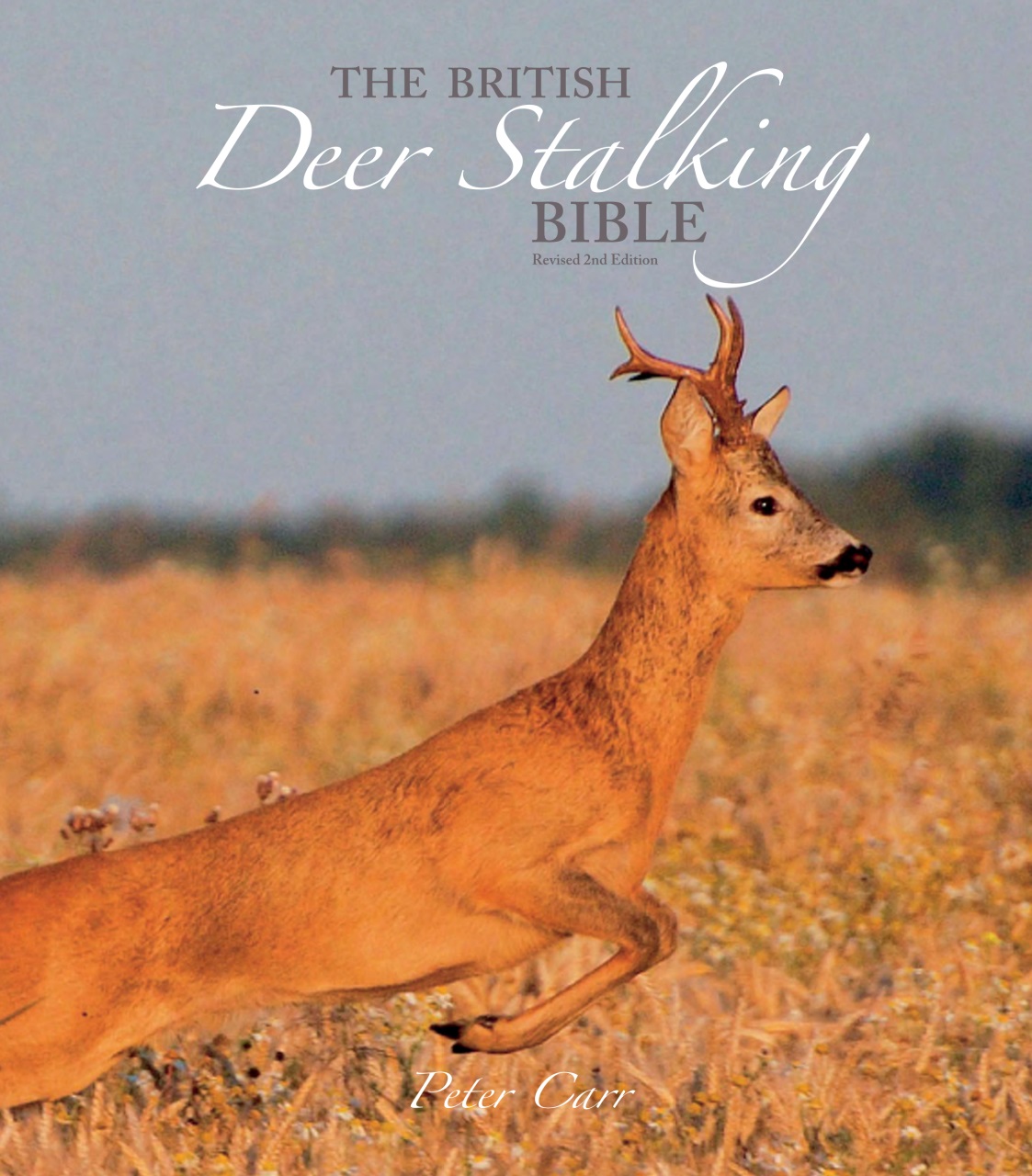 Sporting Rifle Books Preview Pages