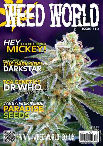 Weed World issue Issue 110