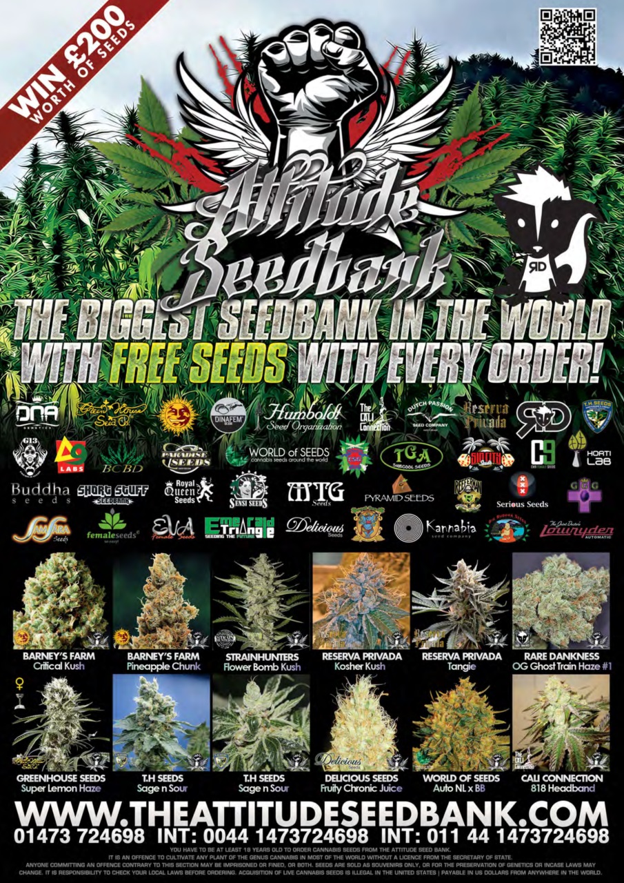 Weed World Preview Pages
