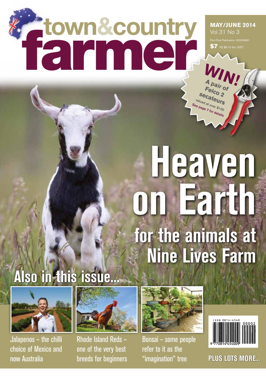 Town And Country Farmer Preview Pages
