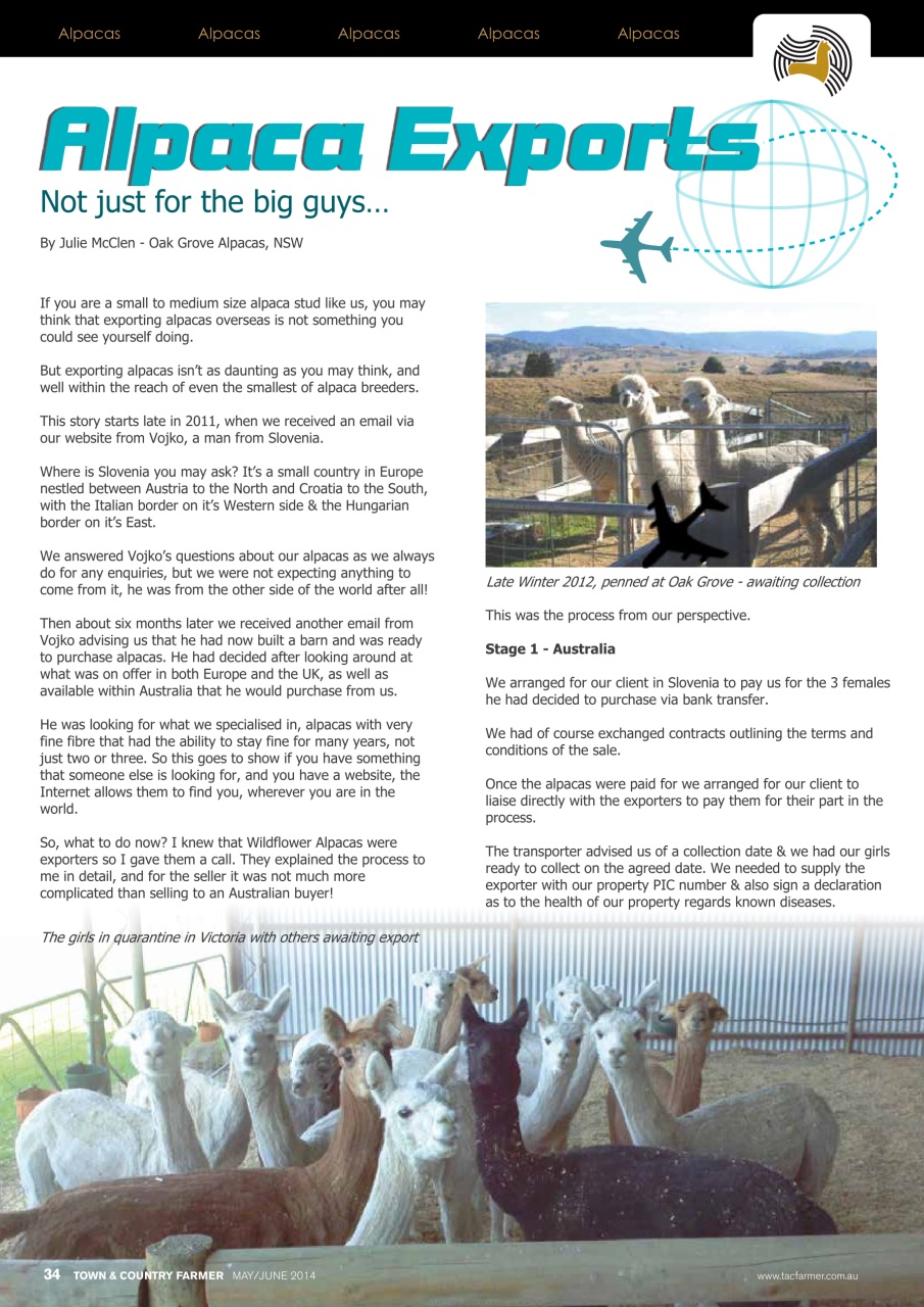 Town And Country Farmer Preview Pages