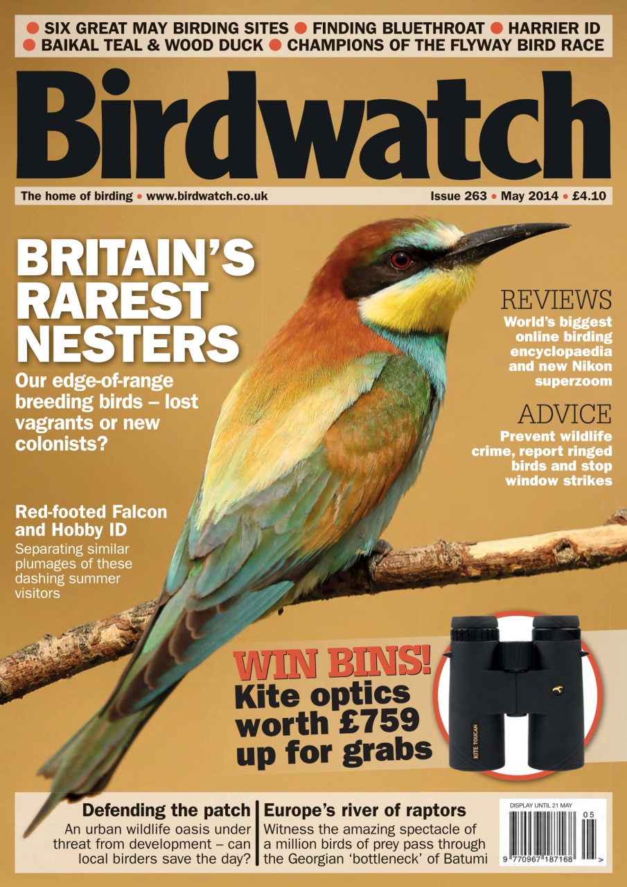Birdwatch Magazine Preview Pages