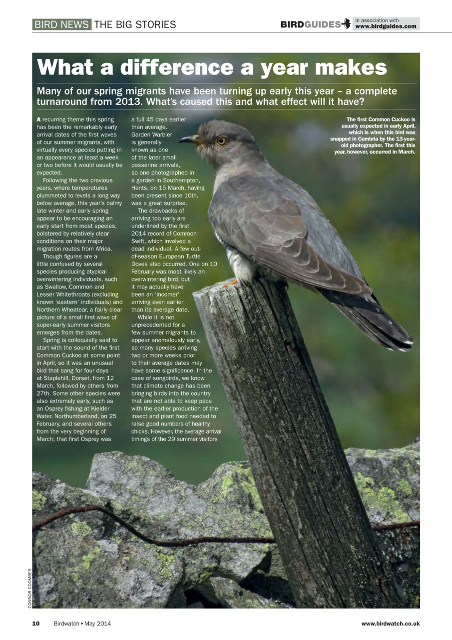 Birdwatch Magazine Preview Pages