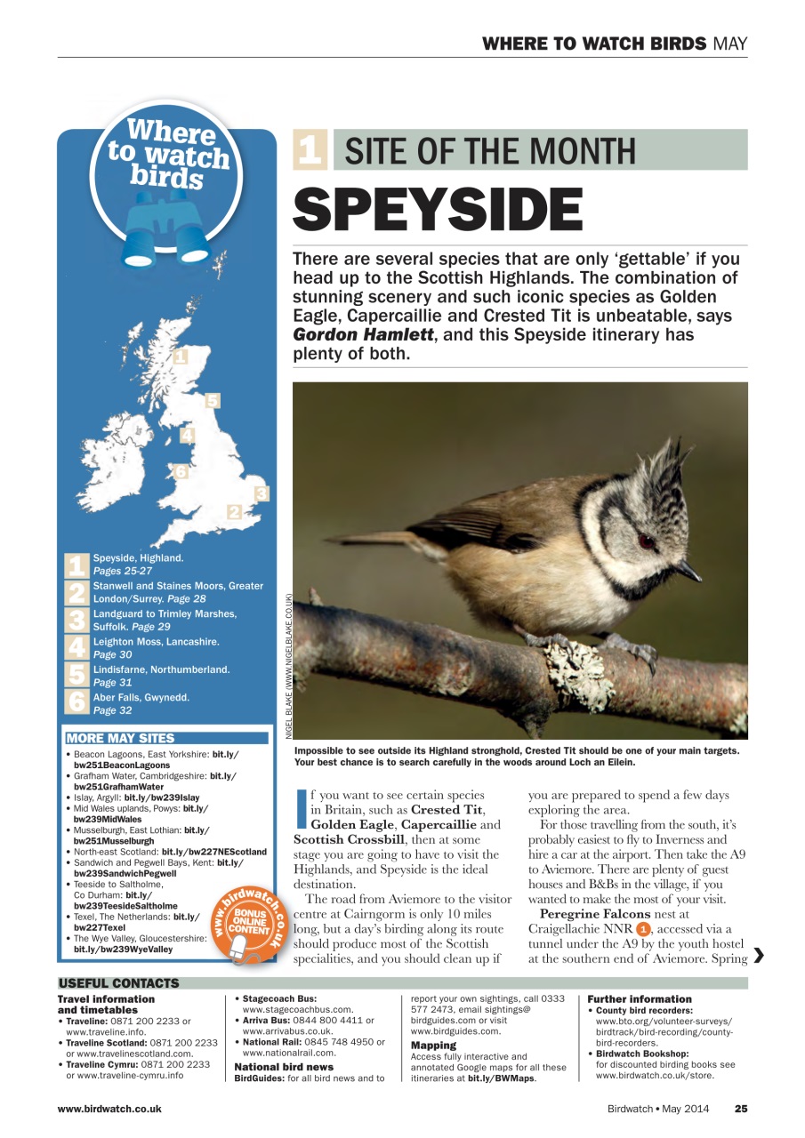 Birdwatch Magazine Preview Pages