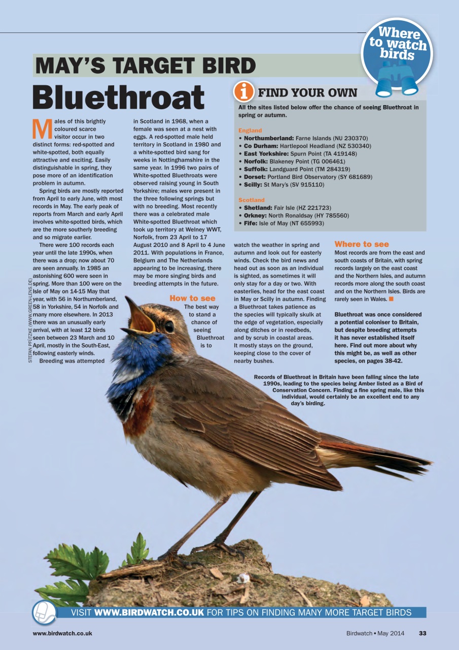 Birdwatch Magazine Preview Pages