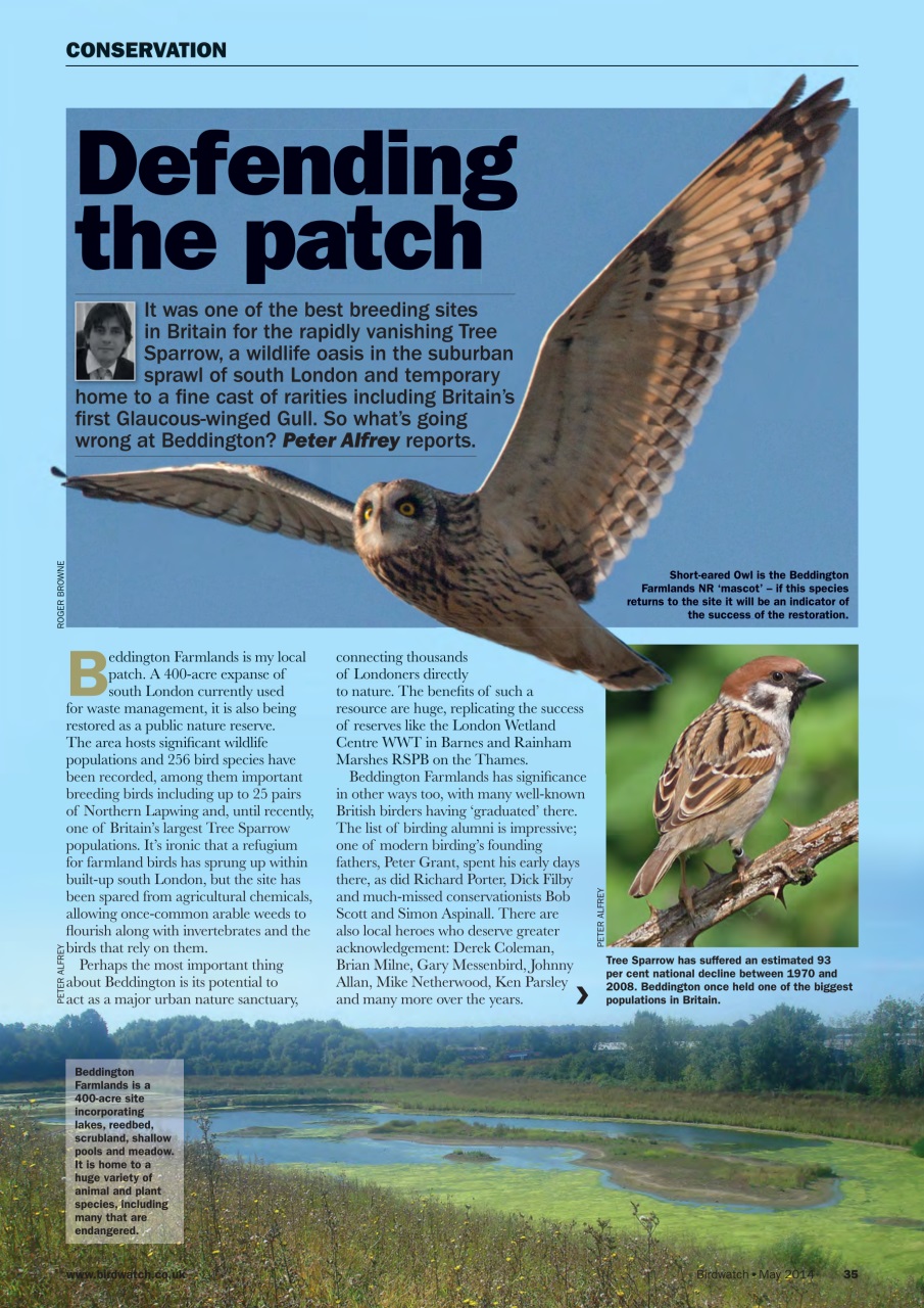 Birdwatch Magazine Preview Pages