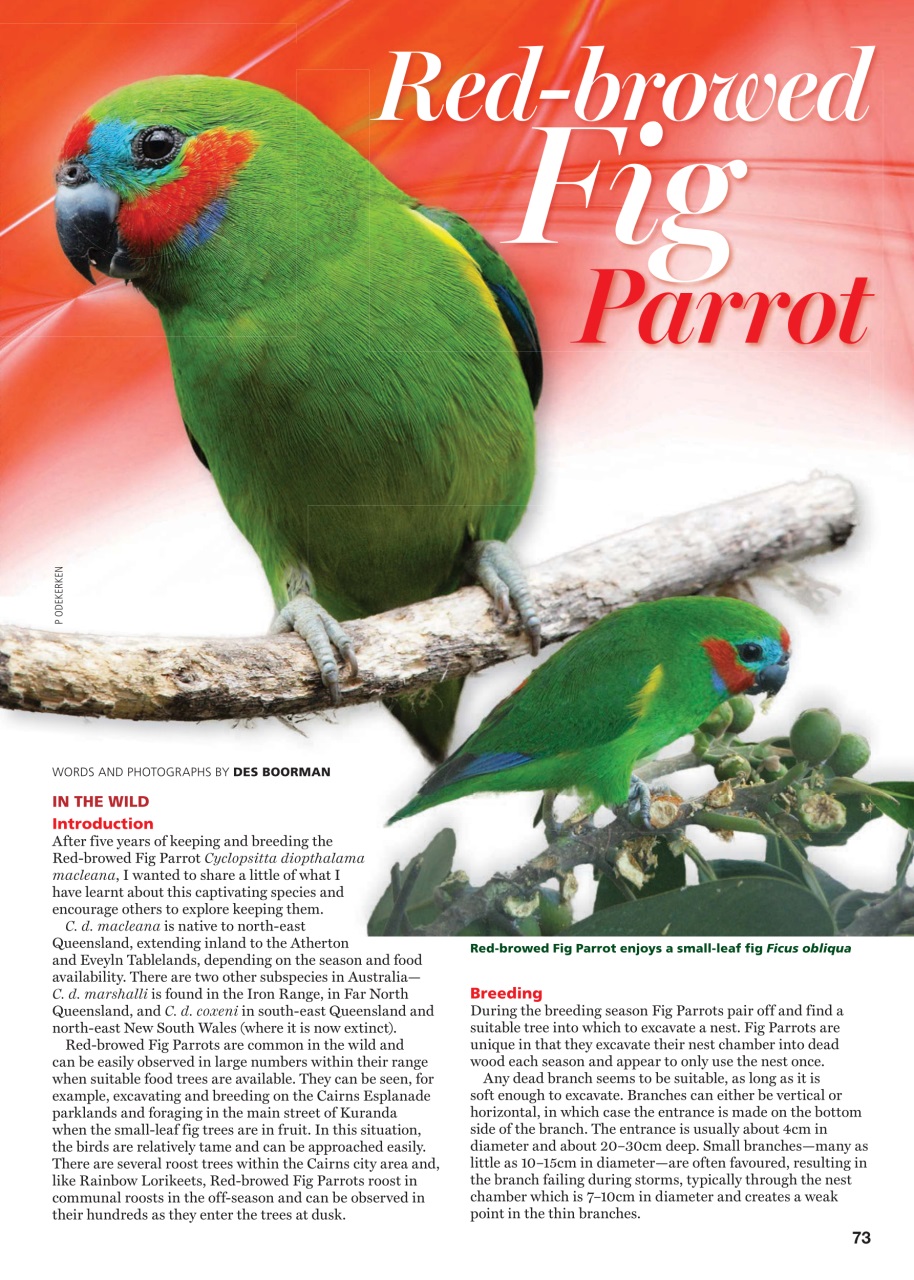 Australian Birdkeeper Magazine Preview Pages