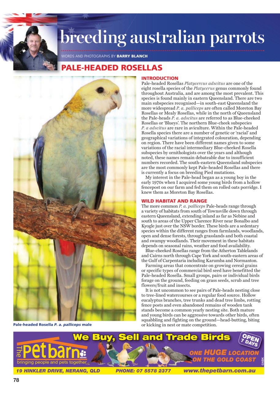Australian Birdkeeper Magazine Preview Pages