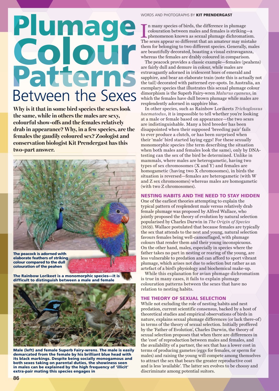 Australian Birdkeeper Magazine Preview Pages