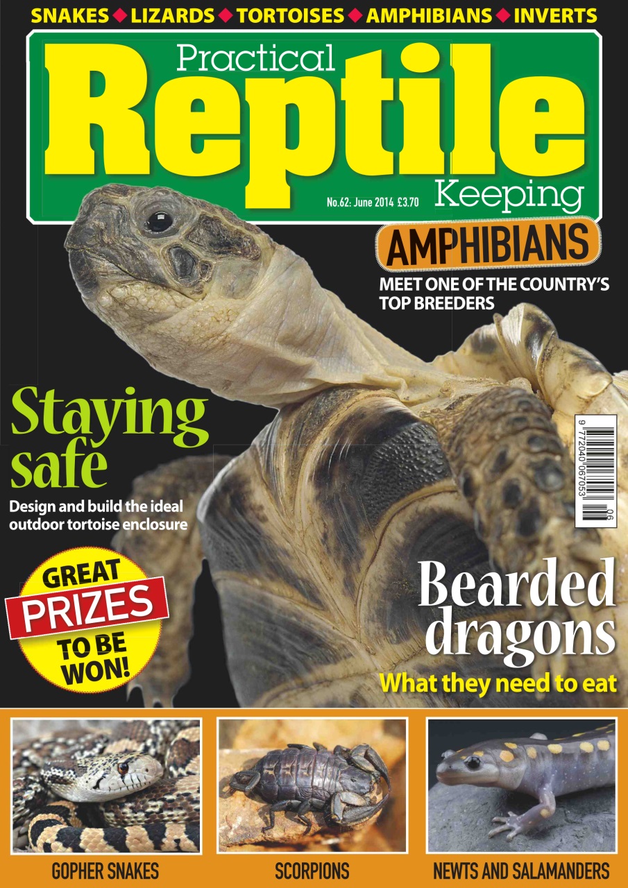 Practical Reptile Keeping Preview Pages