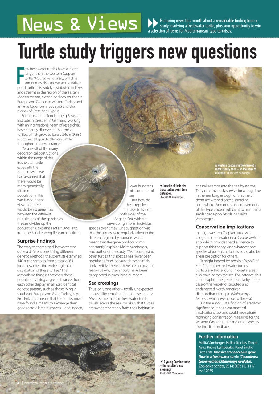 Practical Reptile Keeping Preview Pages