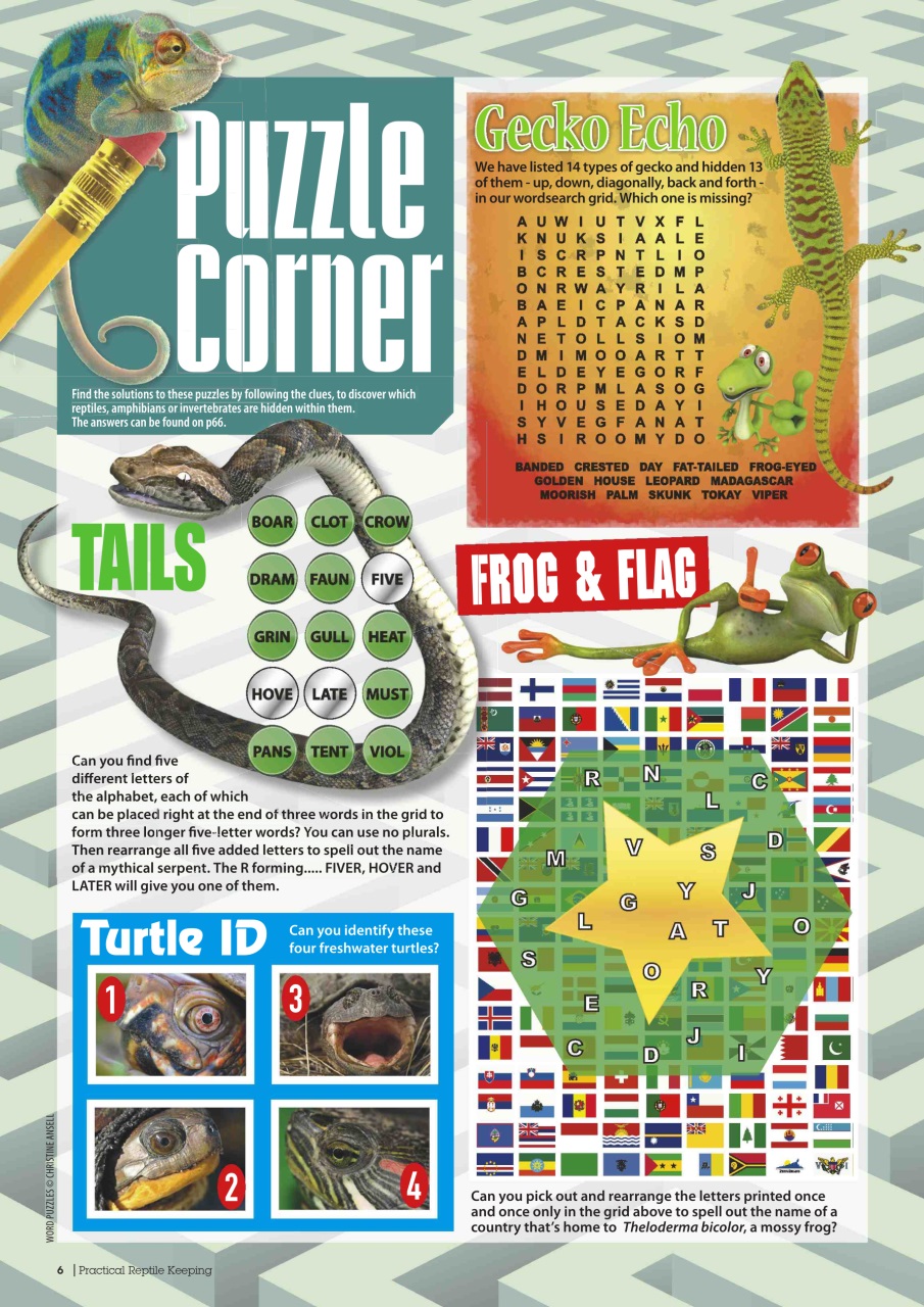 Practical Reptile Keeping Preview Pages
