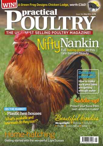 Practical Poultry issue No.124 Nifty Nankin