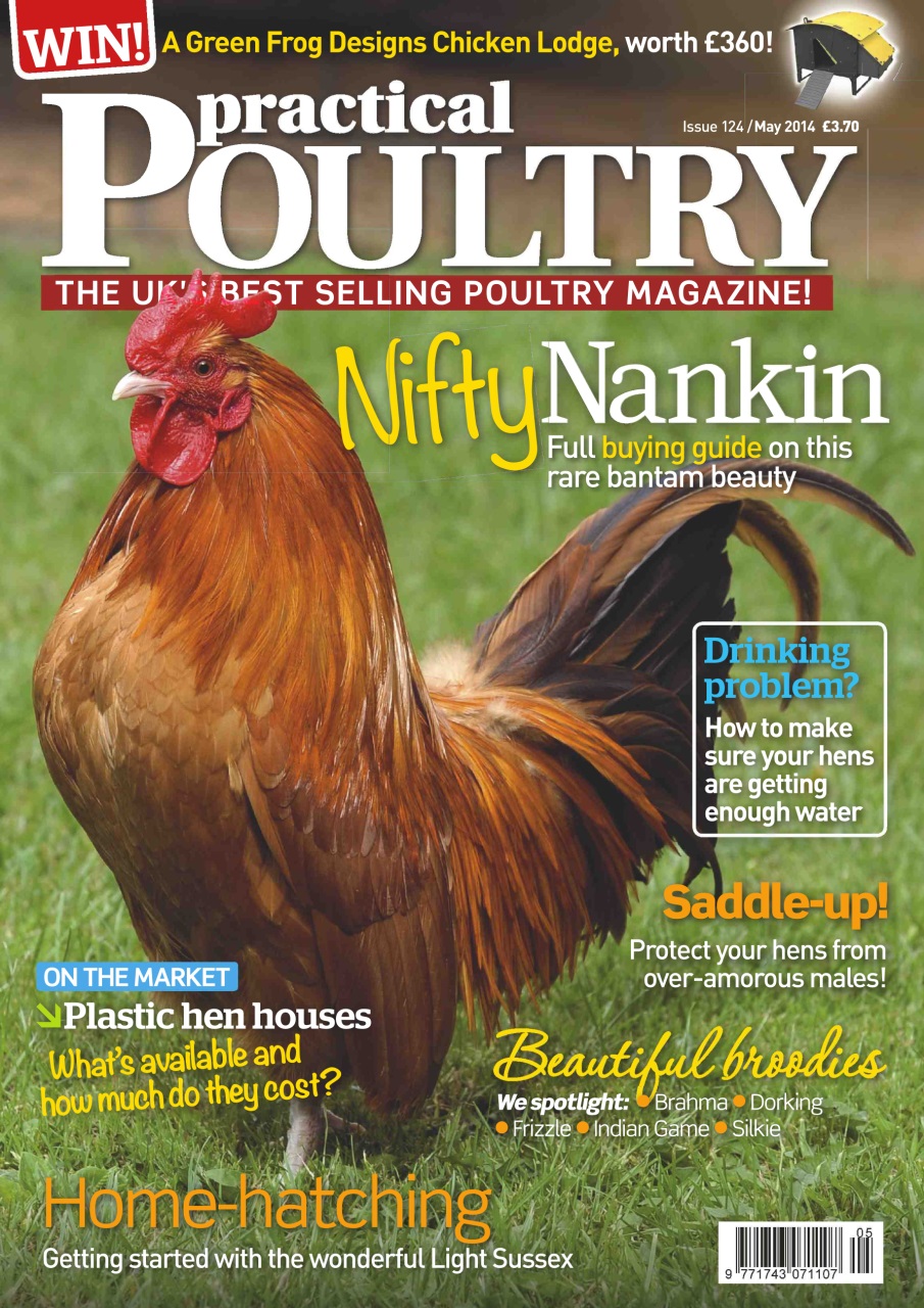Practical Poultry Preview Pages
