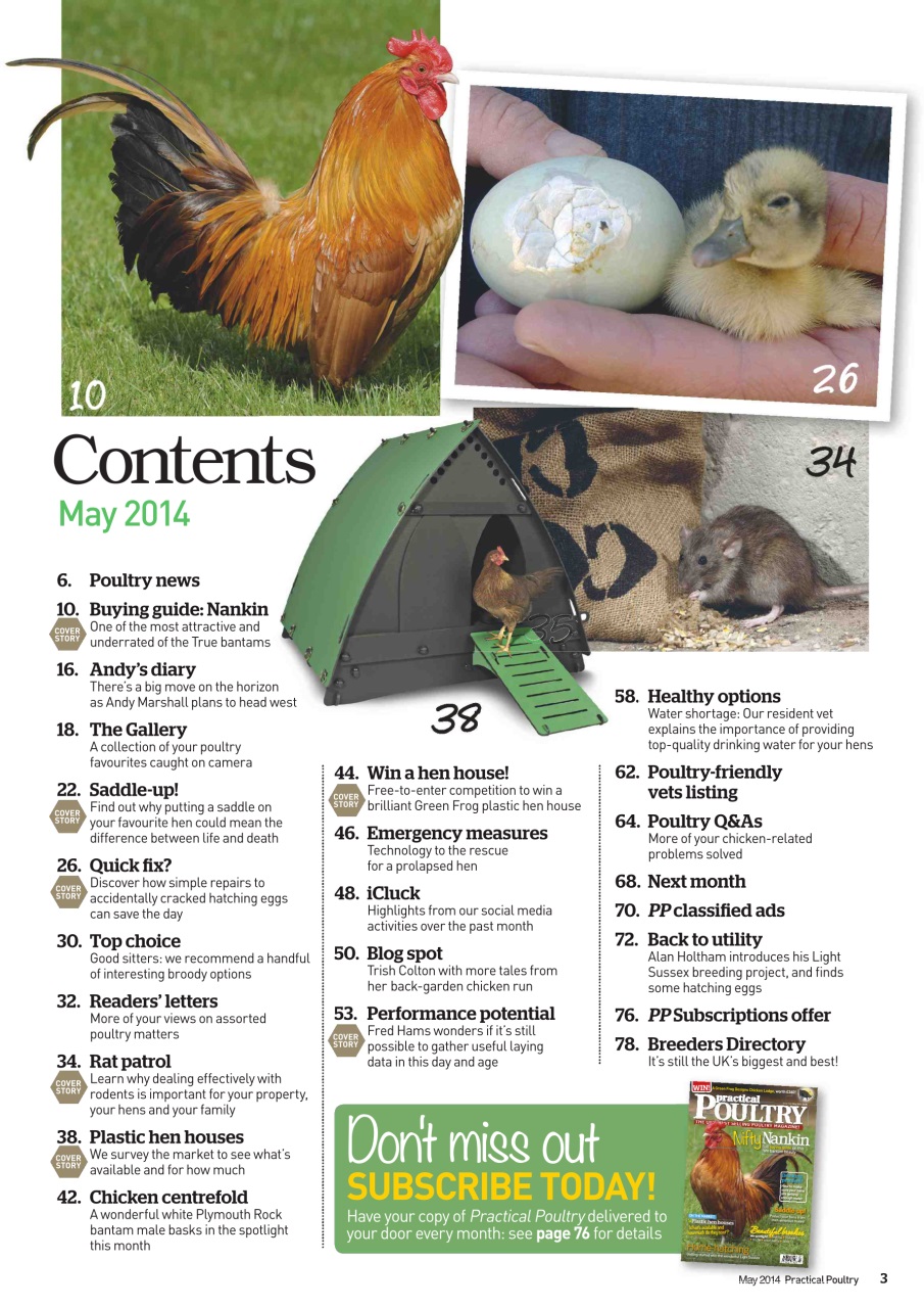 Practical Poultry Preview Pages