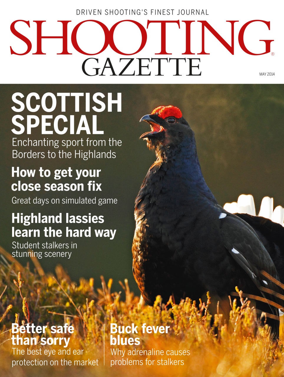 Shooting Gazette Preview Pages